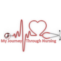 Nursing Journey